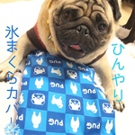 パグパグ氷枕カバー