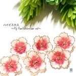 ハイビスカス PGカンなし PearlWhite×clearred