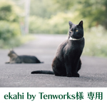 ekahi by Tenworks様 専用