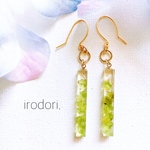 【送料無料】きらきらペリドットを閉じ込めたピアス/イヤリング