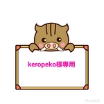 【keropeko様専用】お名前シール