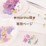 ★marino様★専用ページ