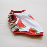 🍉スイカ × ボーダー タンク🍉