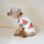 🍉スイカ × ボーダー Tシャツ🍉