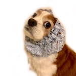 刺繍レース花/アンティーク風犬用スヌードA 