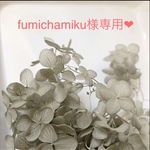 fumichamiku様専用❤︎
