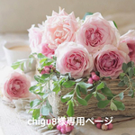 🍒 chigu8様専用ページ 🍒
