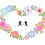 後付けオプション用【 速達料金 】