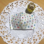 再入荷☆023☆りんご柄白 こだわりの抗菌マスク marikoro