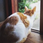 くろにゃん様専用ページ