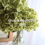 choconeko920様専用です。