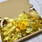 レモンカラー＊ヘリクリサム＊ハーバリウム 花材ドライフラワー  花材セット