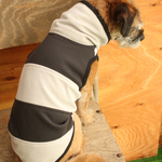 犬服 シャインクール！+ひんやり防蚊タイプ グレー系×紺ボーダー　