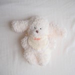 赤ちゃんのもじゃいぬちゃん　ミルク
