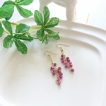 ~SALE~＊14KGF＊ルビーのつぶつぶピアス