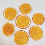 ドライオレンジ🍊素材    