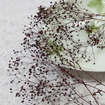 かすみ草　カスミ草　プリザーブド　ボルドー