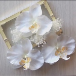 [再販×5] 胡蝶蘭 コチョウラン とかすみそうの和装髪飾り 結婚式や前撮りに