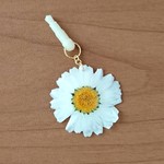押し花のイヤホンジャック  - ノースポール - 