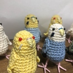 世界に一つのセキセイインコインコさん！オーダーあみぐるみ
