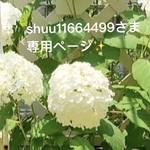 shuu11664499さま専用ページ