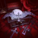 ✝神秘な悪魔の羽✝