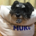  【MUKUちゃん専用】わんこをだめにするかもしれないベッドMサイズ 