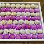 お花屋さんが作った本日のドライフラワーは千日紅です！   ①