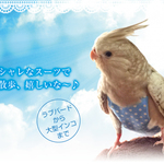 フライトスーツ 鳥用（Bサイズ　体重45g〜60ｇ 向け）