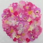 再販 415.押し花アソート〜ピンク系 ビオラ ジュリアン 小花 押し花素材