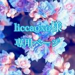 liccaoxo様専用ページ