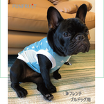 🆒【フレブル・パグ 用】水に濡らしてひんやり！冷え冷えクール タンクトップ（犬服）【北欧柄・エメラルドブルー】