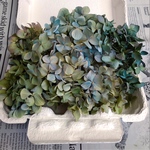 紫陽花ハンドメイド用ブロック