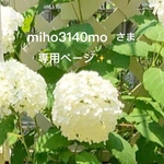 miho3140moさま専用ページ