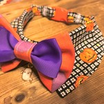 犬の首輪　約35～39　中型犬　cocochanチョーカーＮＥＯ　ハロウィン・蝶ネクタイ・お化けカボチャ・かぼちゃランタン・仮装パーティー
