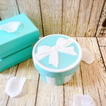 T &ブルー大きめリボン🎀キャニスターB