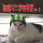 hashivirokouさま 専用ページ