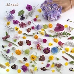 ドライフラワーアラカルトセット　No1358  花材 ビオラ アジサイ