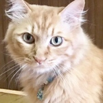 可愛いモデルさん ありがとうございます💕😺✨