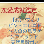 エルニド鑑定
