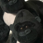 ちょいワルゴリラ