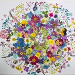 押し花花材 素材☆紫陽花、アナベル、かすみ草、リナリア他小花MIXたくさん