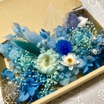夏のBlueミニコンパクタ貝がら＊ハーバリウム 花材ドライフラワー  花材セット