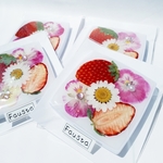 いちごのコンパクトミラー/鏡/手鏡/押し花/押しフルーツ/レジン