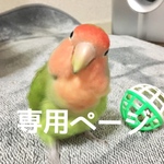 rm様専用ページ