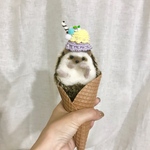 SMサイズ・アイス帽子、小動物用帽子