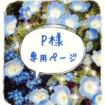 ＊P様専用ページ＊