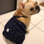 フレンチブルドッグ用カボチャパンツロンパース〜さくらんぼ〜