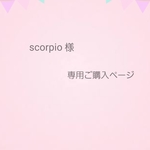 ⭐ scorpio様 専用ご購入ページ ⭐