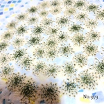 ♡new♡作家様必見♡ ♡レースフラワー 押し花♡